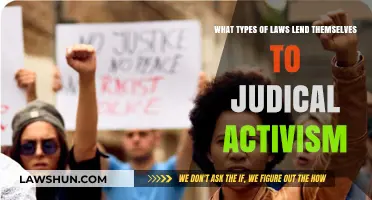 Judicial Activism: Exploring Laws That Invite Interpretive Judicial Power