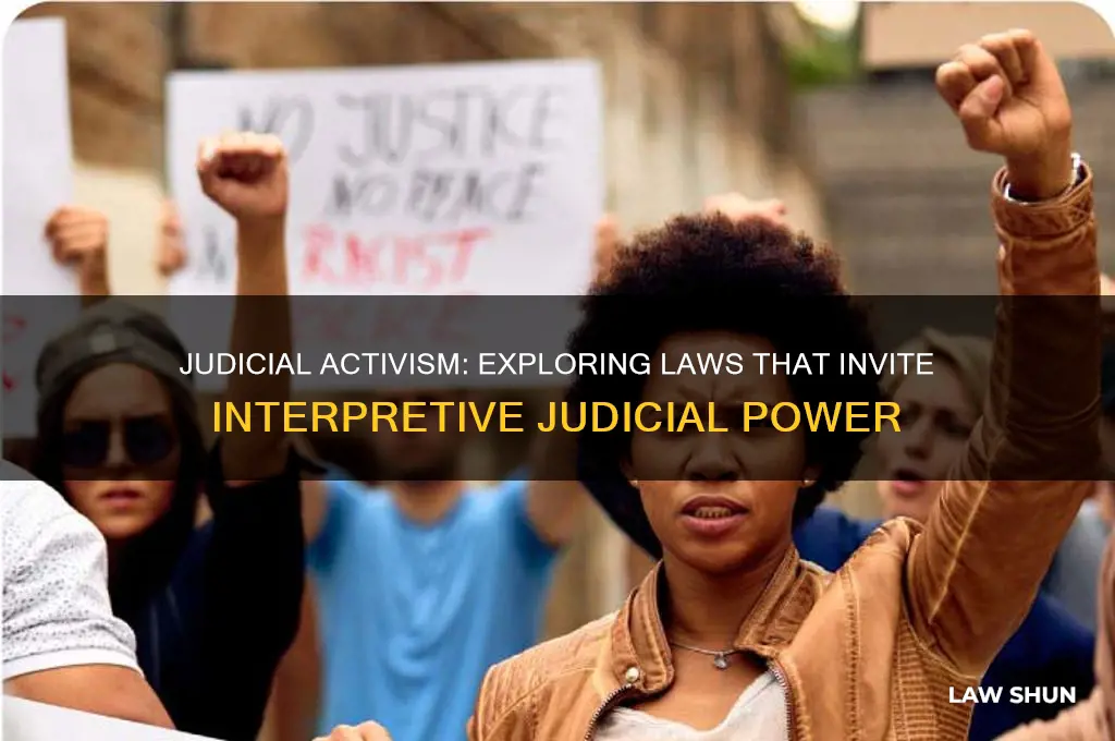 what types of laws lend themselves to judical activism
