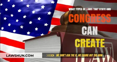 Creating Laws: State vs. Congress