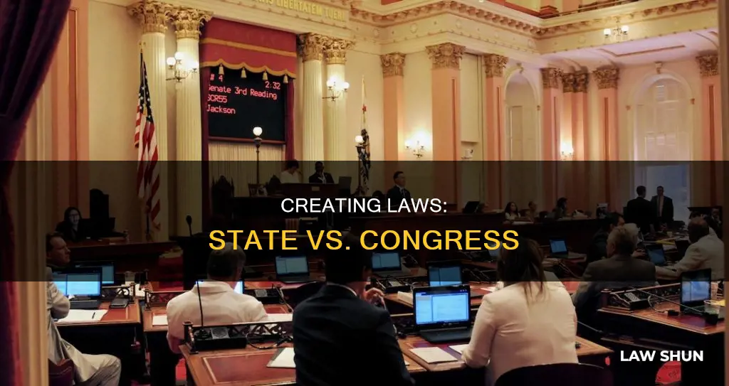what types of laws that state and congress can create