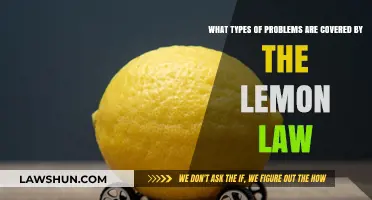 Lemon Law Coverage: Understanding Defects and Consumer Rights