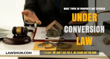 Understanding Property Types Protected by Conversion Law: A Comprehensive Guide