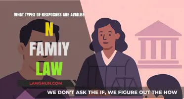 Understanding Family Law Responses: Options and Solutions for Legal Cases