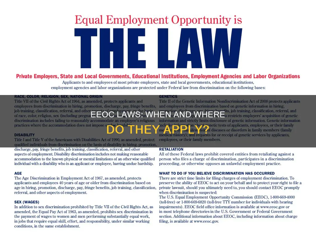 what types of work situations do eeoc laws apply to