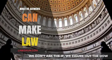 The Power of US Agencies: Lawmaking Explored