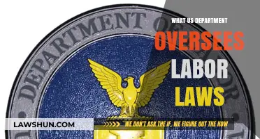 Which U.S. Department Oversees Labor Laws? A Comprehensive Guide
