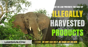 Protecting Wildlife: US Laws Banning Illegally Harvested Product Sales