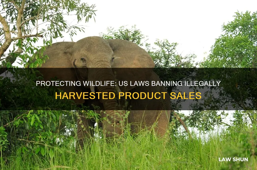 what us law prevents the sale of illegally harvested products
