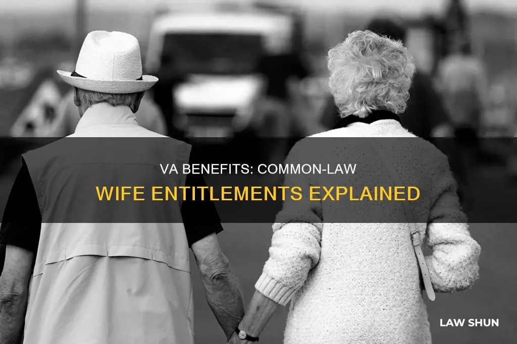 what va benefits does a common law wife get