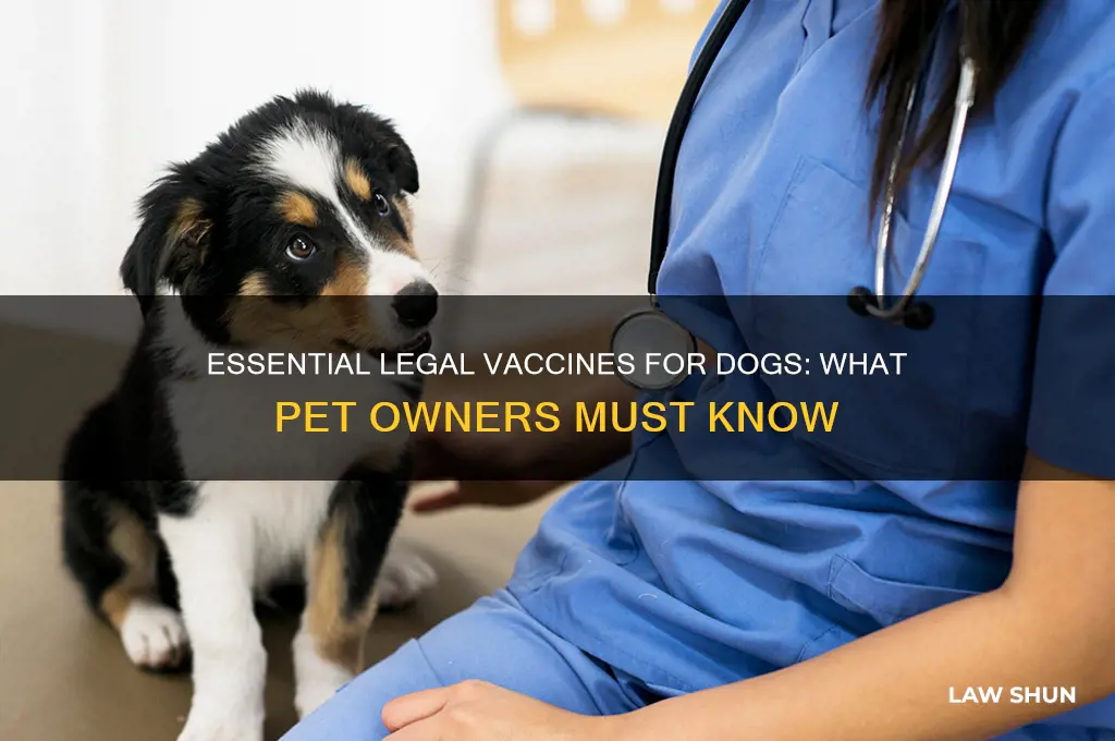 what vaccines do dogs need by law