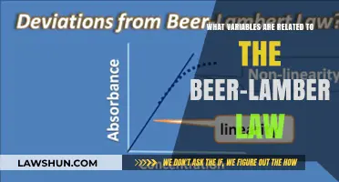 Exploring Key Variables Influencing the Beer-Lambert Law in Spectroscopy
