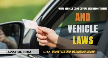 Understanding Vehicle Licensing and Traffic Laws: Key Code Explained