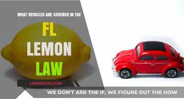 Florida Lemon Law: Which Vehicles Are Protected Under the Statute?