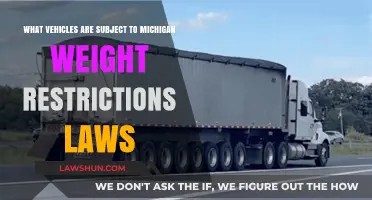 Michigan Weight Restrictions: Which Vehicles Must Comply with State Laws?