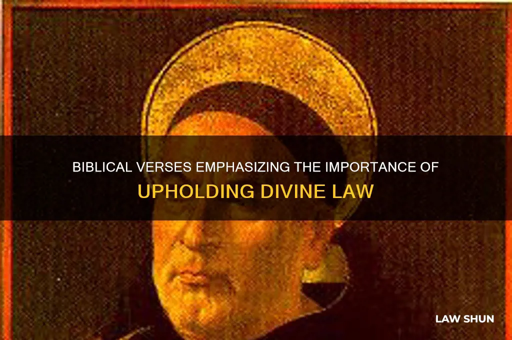 what verses in the bible talk about upholding the law
