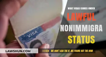 Understanding Lawful Nonimmigrant Status: Key Visa Categories Explained
