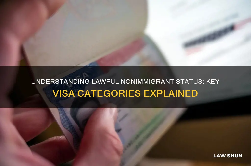 what visas comes under lawful nonimmigrant status