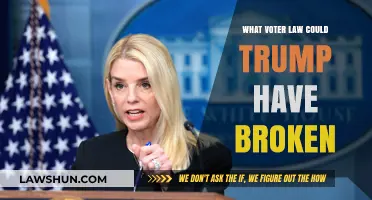 Trump's Voter Law Violation: Potential Legal Consequences Explained