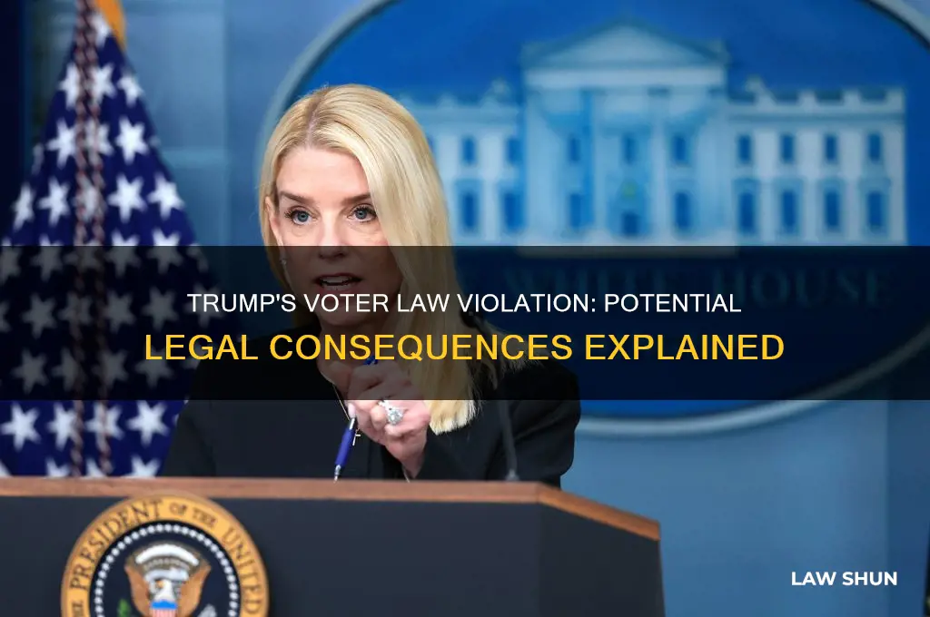 what voter law could trump have broken