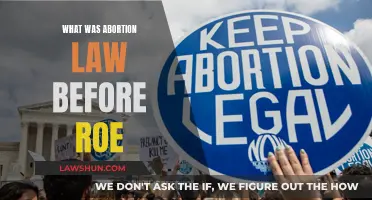 Abortion Laws Pre-Roe: A Historical Perspective