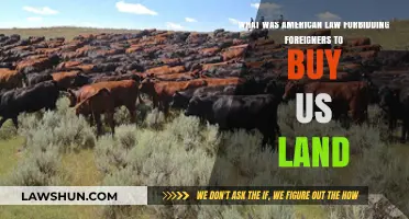 Historical Restrictions: US Law Banning Foreign Land Ownership Explained