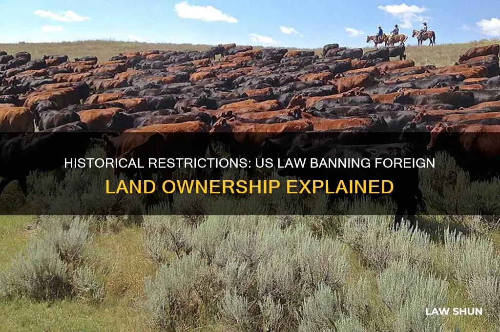 what was american law forbidding foreigners to buy us land