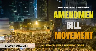 Understanding the Anti-Extradition Law Amendment Bill Movement in Hong Kong