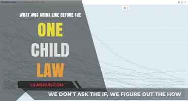 China's Pre-One Child Policy Era: Society, Culture, and Demographics