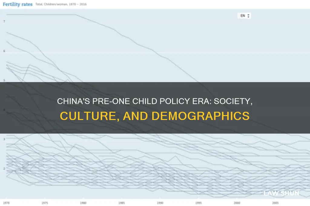 what was china like before the one child law