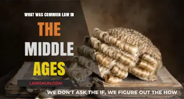 Understanding Common Law in Medieval Times