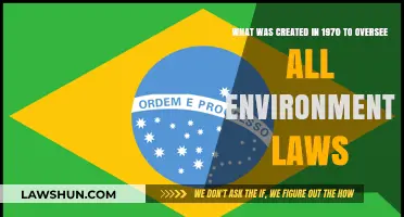 The EPA: A 1970 Legacy to Protect Our Environment