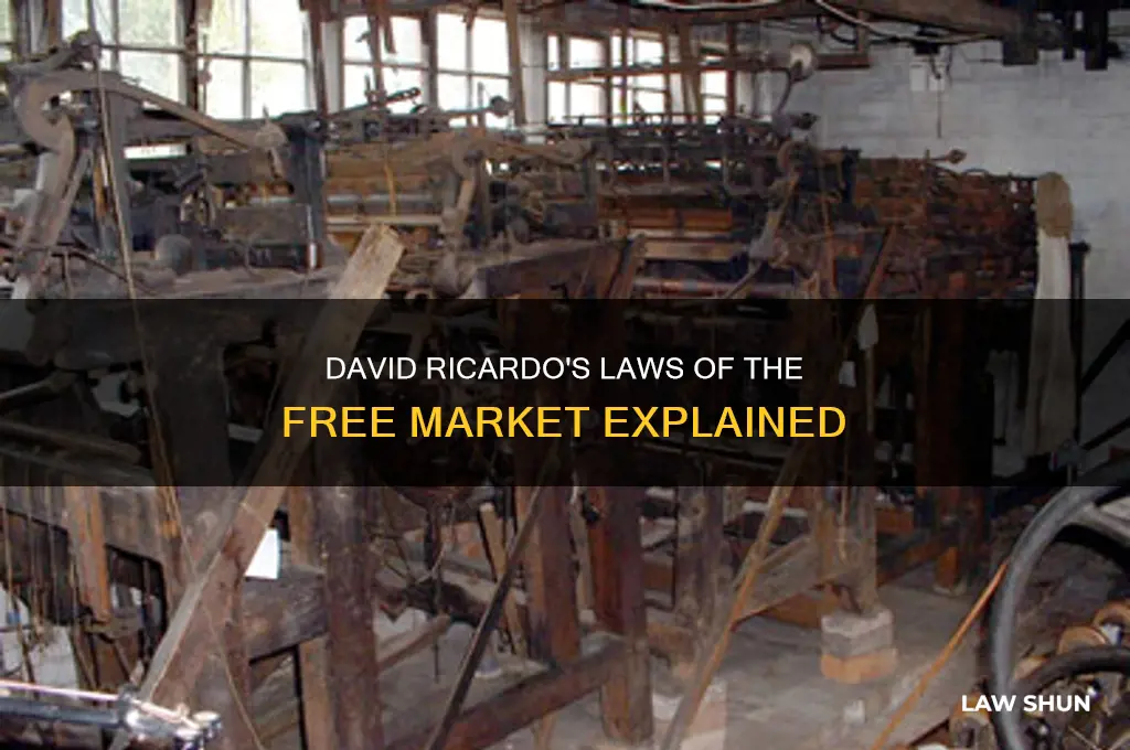 what was david ricardos