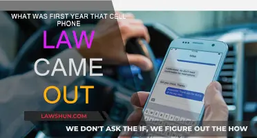 Cell Phone Laws: The Year They Began