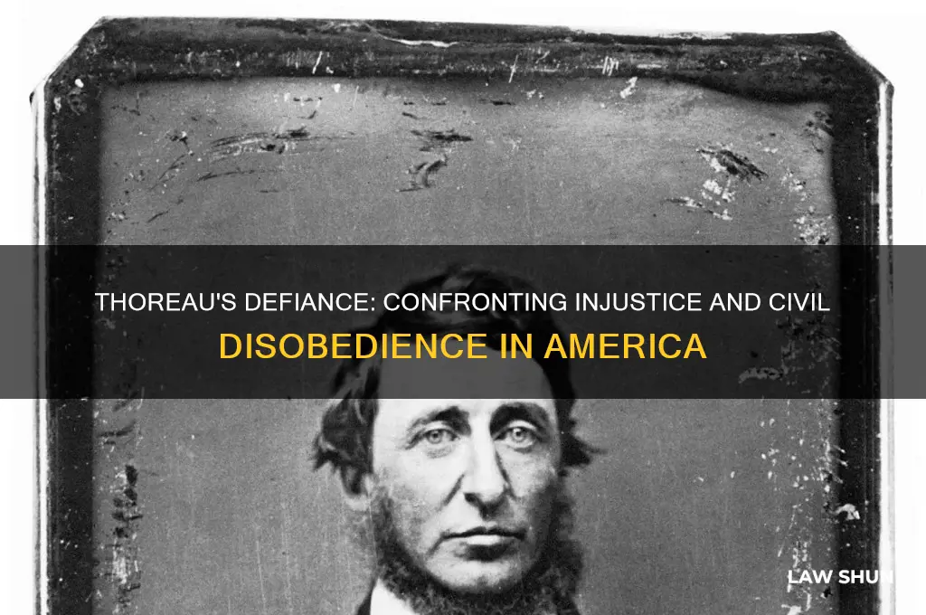 what was henry david thoreau