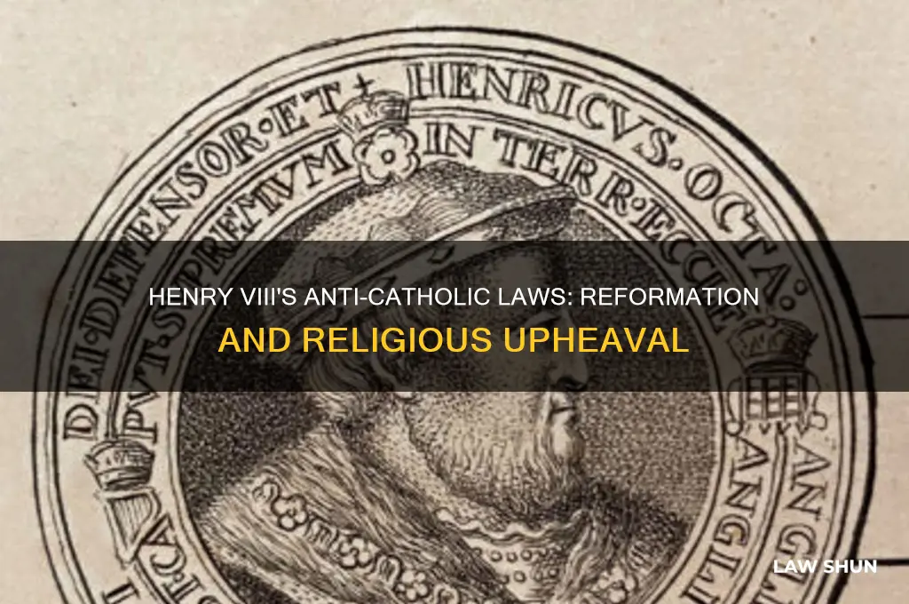 what was henryviii anti catholicism laws
