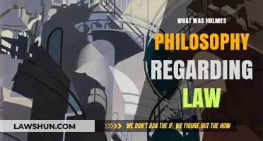 Holmes' Legal Philosophy: A Pragmatic Approach to Law and Justice