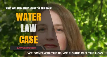 The Shirokow Water Law Case: Why It Matters
