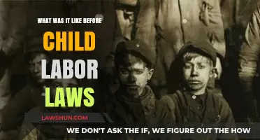Life Before Child Labor Laws: A Harsh Reality for Young Workers