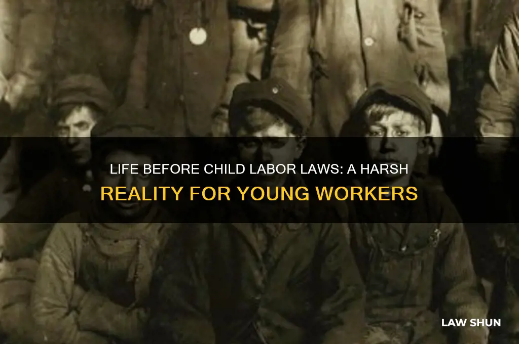 what was it like before child labor laws
