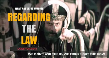 Jesus and the Law: Unveiling His Purpose for Divine Fulfillment