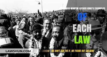 Martin Luther King's Powerful Examples of Unjust and Just Laws