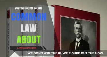 Oliver Wendell Holmes' Common Law Philosophy Explained