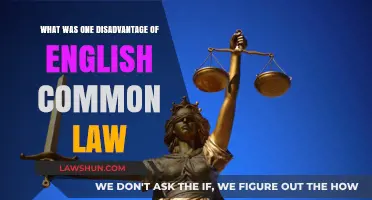 Common Law's Historical Disadvantage: Flexibility and Fairness