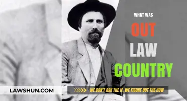 Exploring the History and Legacy of Our Outlaw Country Roots