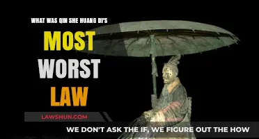 Qin Shi Huang's Harshest Decree: A Legacy of Fear and Oppression