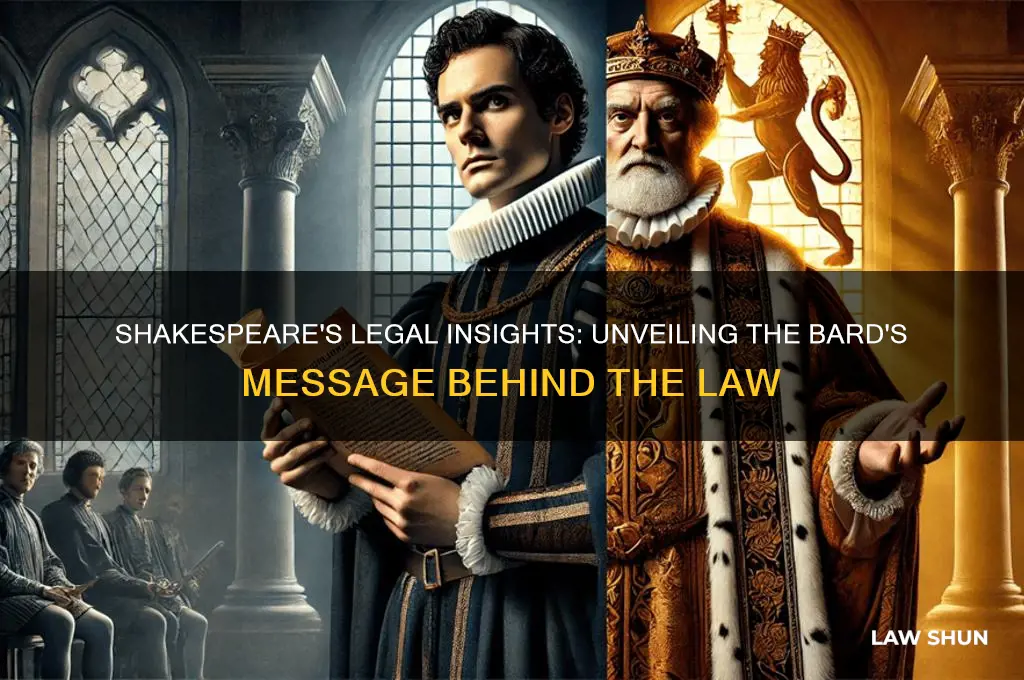 what was shakespeare trying to convey from with the law