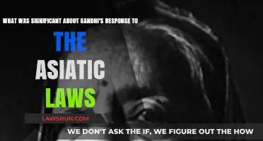 Gandhi's Defiant Stand Against the Asiatic Laws: A Turning Point