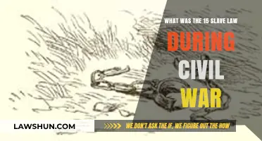 The Fugitive Slave Act: Civil War-Era Law's Impact on Slavery
