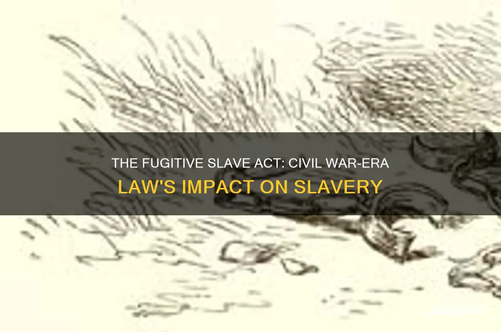 what was the 15 slave law during civil war