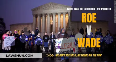 Abortion Law Pre-Roe v. Wade: Understanding the Historical Context